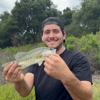 Dylan Votaw